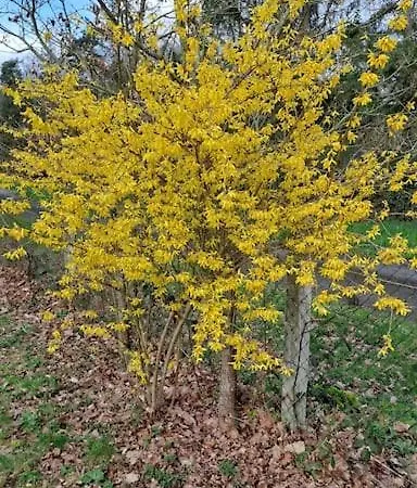 Ferienhaus Dans Les Bois En Normandie