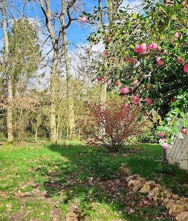 Dans Les Bois En Normandie