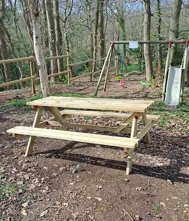 Dans Les Bois En Normandie