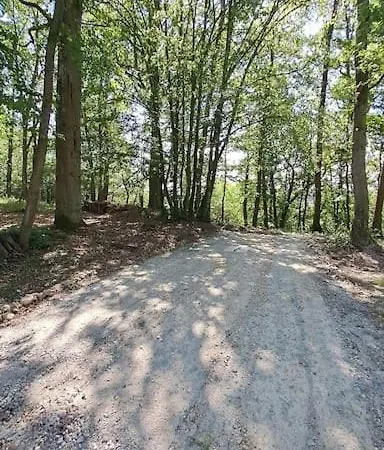 Dans Les Bois En Normandie Ferienhaus