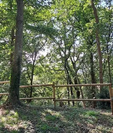 Dans Les Bois En Normandie Ferienhaus *