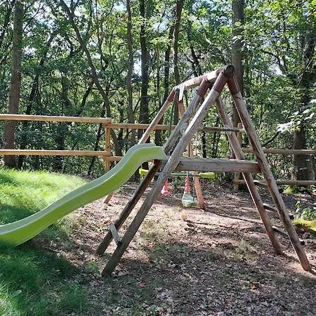 Dans Les Bois En Normandie *