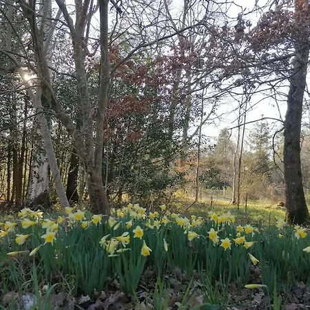 Dans Les Bois En Normandie Ferienhaus