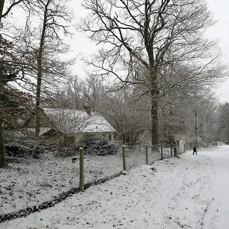 Dans Les Bois En Normandie Ferienhaus